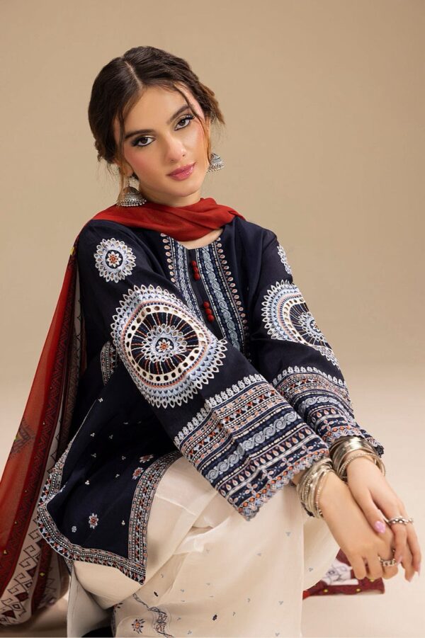 AIRJET DHANAK EMBROIDERED COLLECTION - Image 2